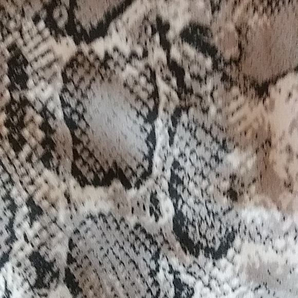 Shein Pants. Size M. Color Snake Print. - Picture 4 of 4